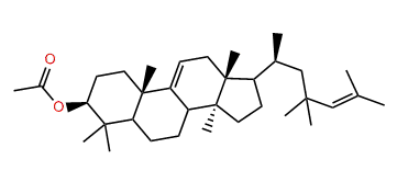 24,24-Dimethyl-9(11),25-lanostadienol acetate